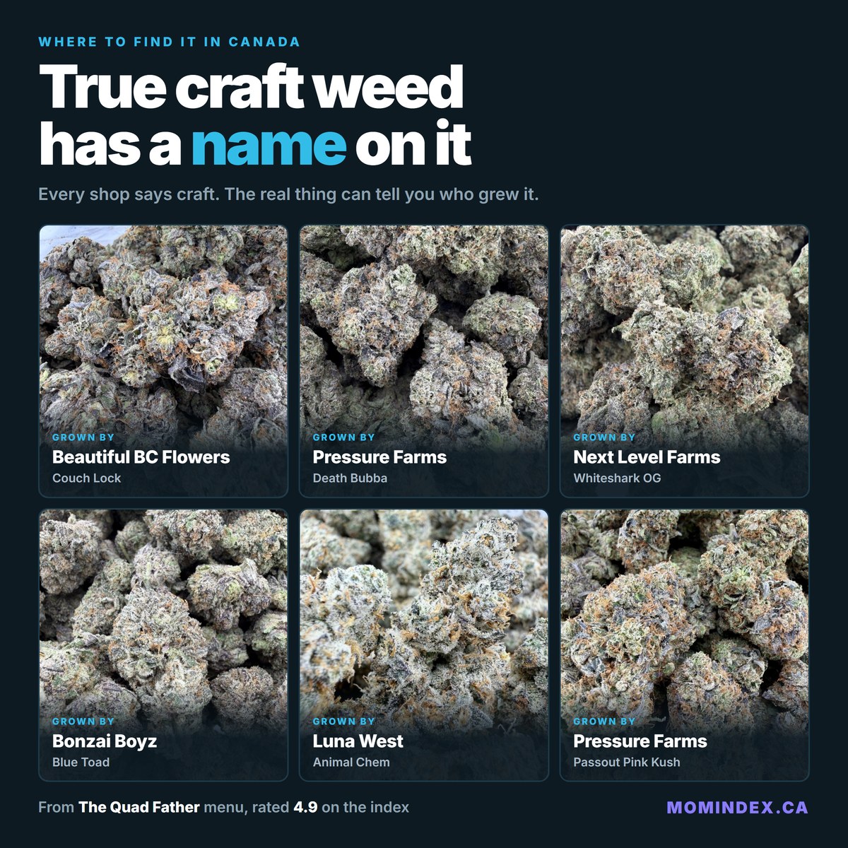 Where to Find True Craft Weed in Canada